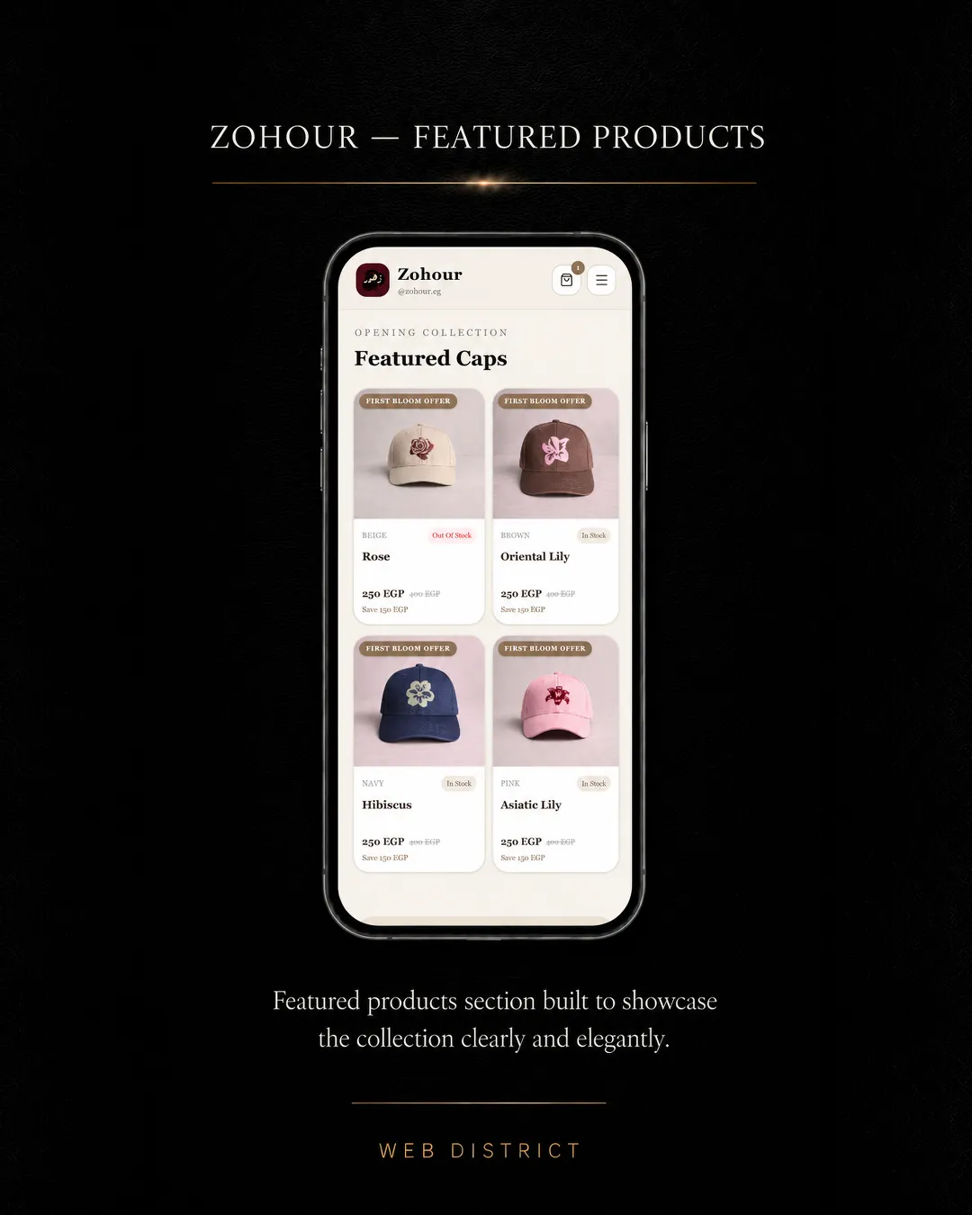 Zohour project view 02